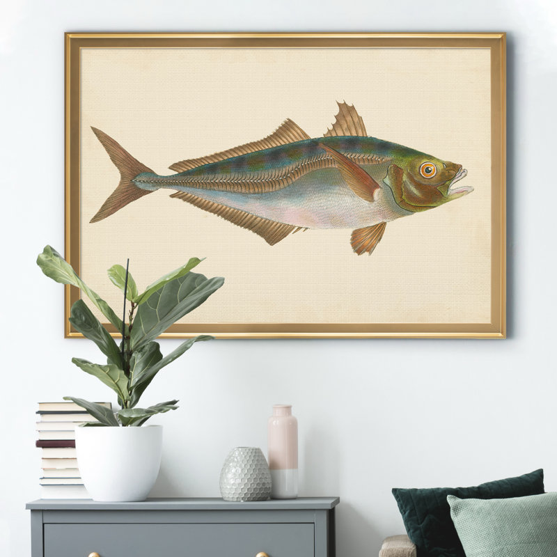 Poisson antique Donovan III - Encadré sous verre et sous passe-partout, grand tableau pour salon, Doré
