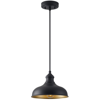 10" Dome Outdoor Pendant Barn Light With Brass Interior, Adjustable Farmhouse Outdoor Hanging Light For Porch & Kitchen