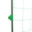 Roopal Plant Stand