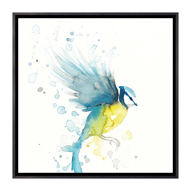 Mésange bleue II - reproduction d'art, Toile avec cadre noir patiné, Pas de tapis, H 26 po x l 26 po x P 1,5 po