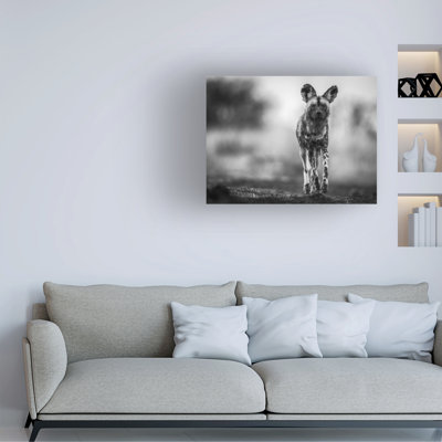 Art sur toile Jaco Marx