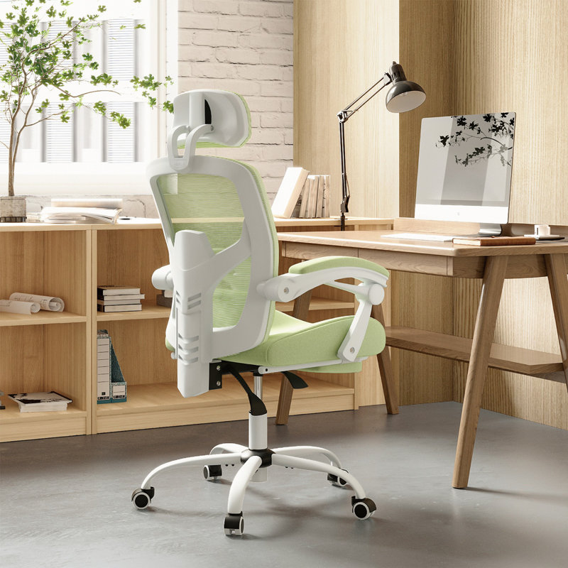 Black Mesh High Back Ergonomic Office Chair with Adjustable Features