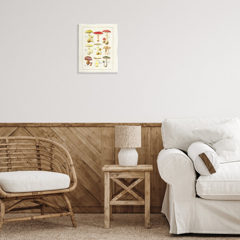 Plaque murale variée de divers champignons, design par Tina Higgins Designs Inc.