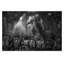 Photographers Lane - Wrapped Canvas Print-22471957