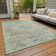 Machine Washable Indoor/Outdoor Claudian ACN1636 Sage Rug