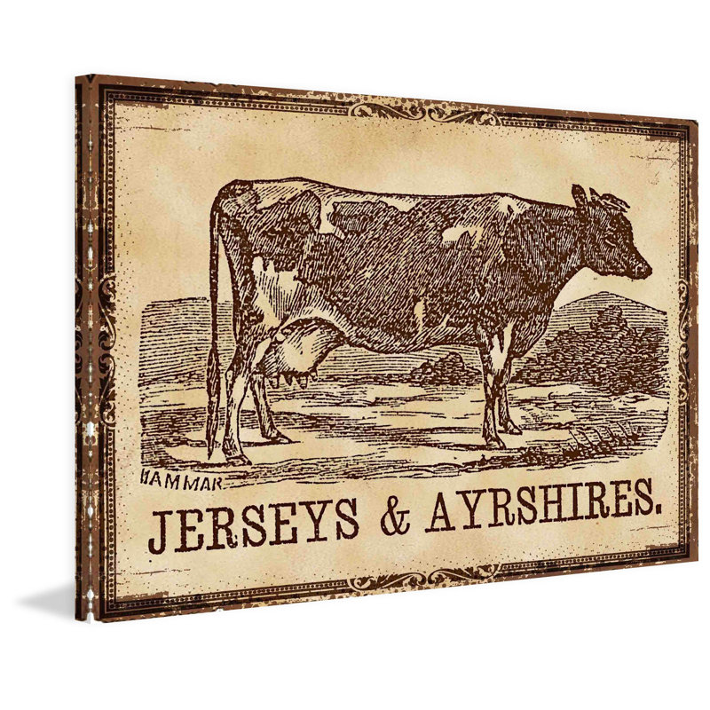 Cows Jerseys - Wrapped Canvas Print, 41cm H x 61cm W