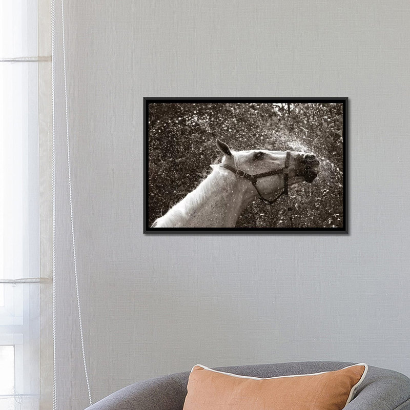«After a Shower» par Jim Dratfield, reproduction sur toile tendue avec châssis, H 18 po x l 26 po x P 1,5 po, Toile tendue