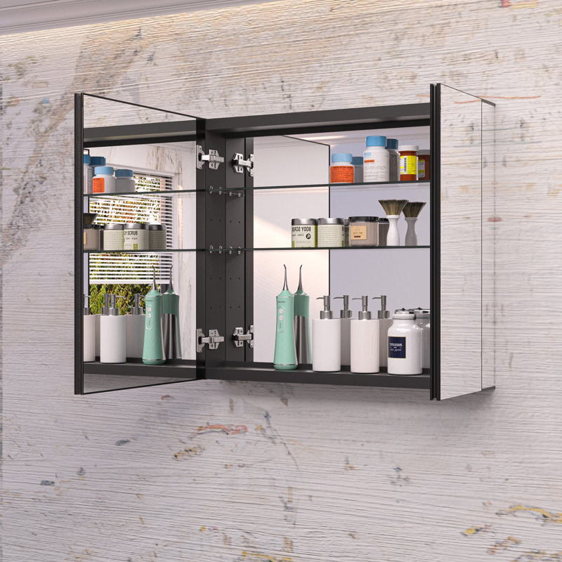 Armoire à pharmacie en aluminium à miroir avec 2 tablettes Omeed, H 26 po x l 30 po x P 5 po, Noir