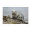 No Frame Print on Canvas