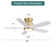 Rita 42" 5-Blade Gold Modern Ceiling Fan Light With 6-Speed Adjustable Wind Speed