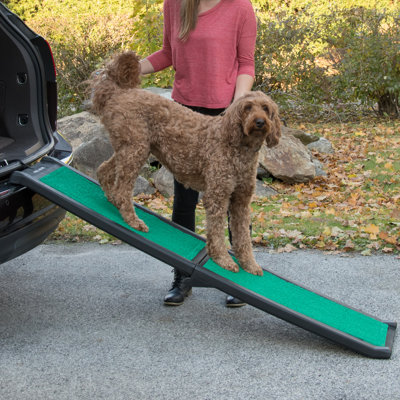 Rampe pliable pour animaux 26,5 po avec tapis SupertraX