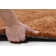 Amiyiah Solid Colour Hand Woven Area Rug