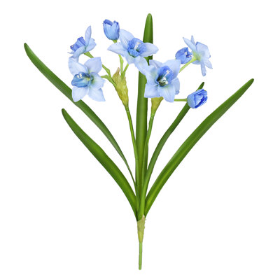 Tulipes