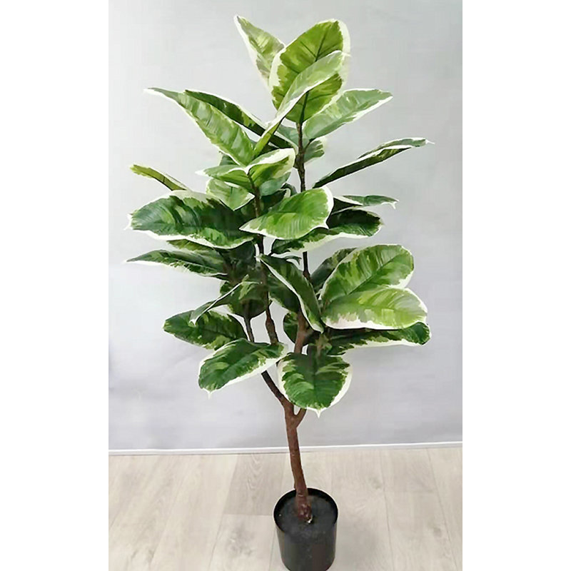 Faux Rubber Plant in Pot, 60" H x 24' W x 24" D