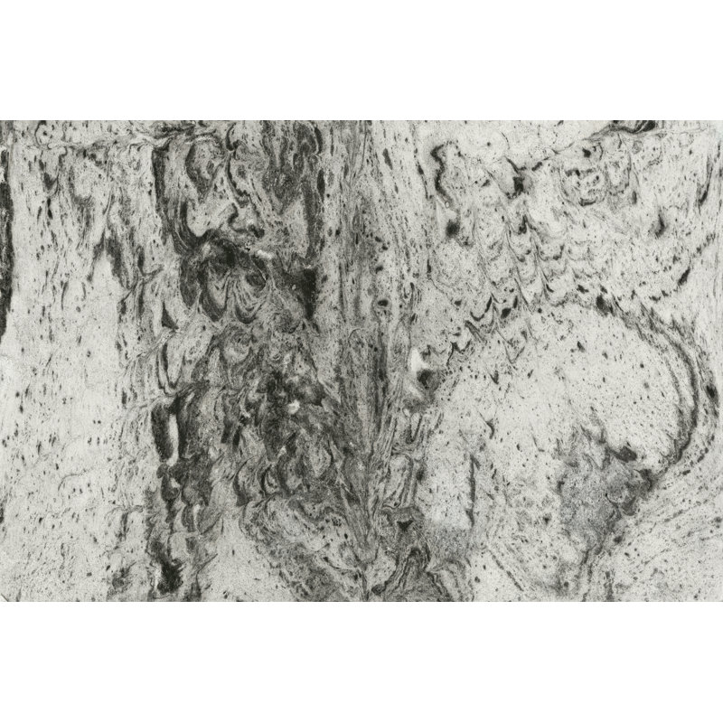 Amalgam II by Jenna Guthrie - Wrapped Canvas Painting, 30cm H x 46cm W x 3.8cm D