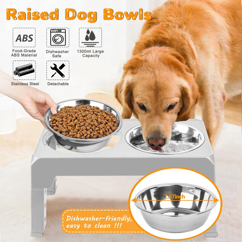 Elevated Feeder, Silver