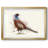 " Pheasant Splash 5 "-680043064-680043065