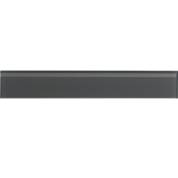 Charm School 2'' W x 12'' L Glass Subway Singular Tile