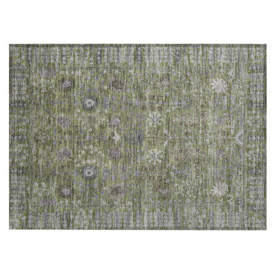 Machine Washable Indoor/Outdoor Kaczor ACN2231 Global Rug
