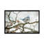 Cold Jay 1 Piece Wall Art on Canvas-269651627-318446187
