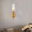 Ilgar Golden Wall Lamp with Transparent Glass Lampshade