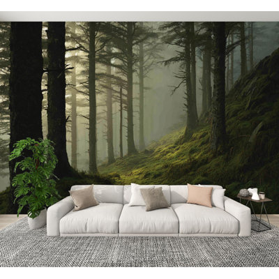 Papier peint forêt, peintures murales auto-adhésives sereines Mossy Woodland Morning