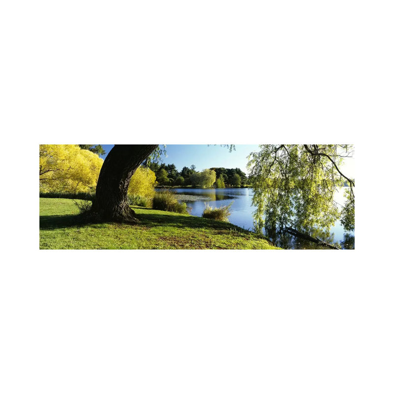 Willow Tree by a Lake, Green Lake, Seattle, Washington State, USA 1 Piece Wrapped Canvas Panoramic Wall Art