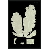 Seaweed Diagram II Framed