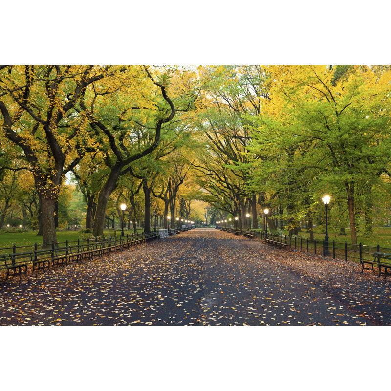 Central Park - Photographie sur toile tendue, H 8 po x l 12 po