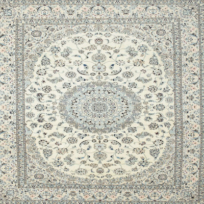 Oriental Indoor Rug