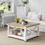 Floor Shelf Coffee Table with Storage