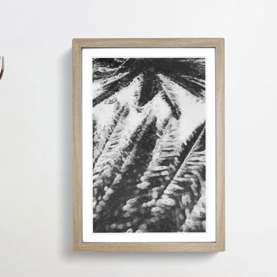 Palm Tree Shadows - Framed Print