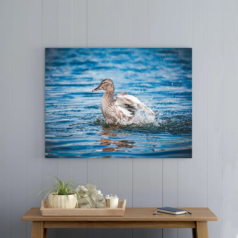 Duck Swimming in a Lake, 8" H x 12" W