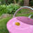 Metal Watering Can