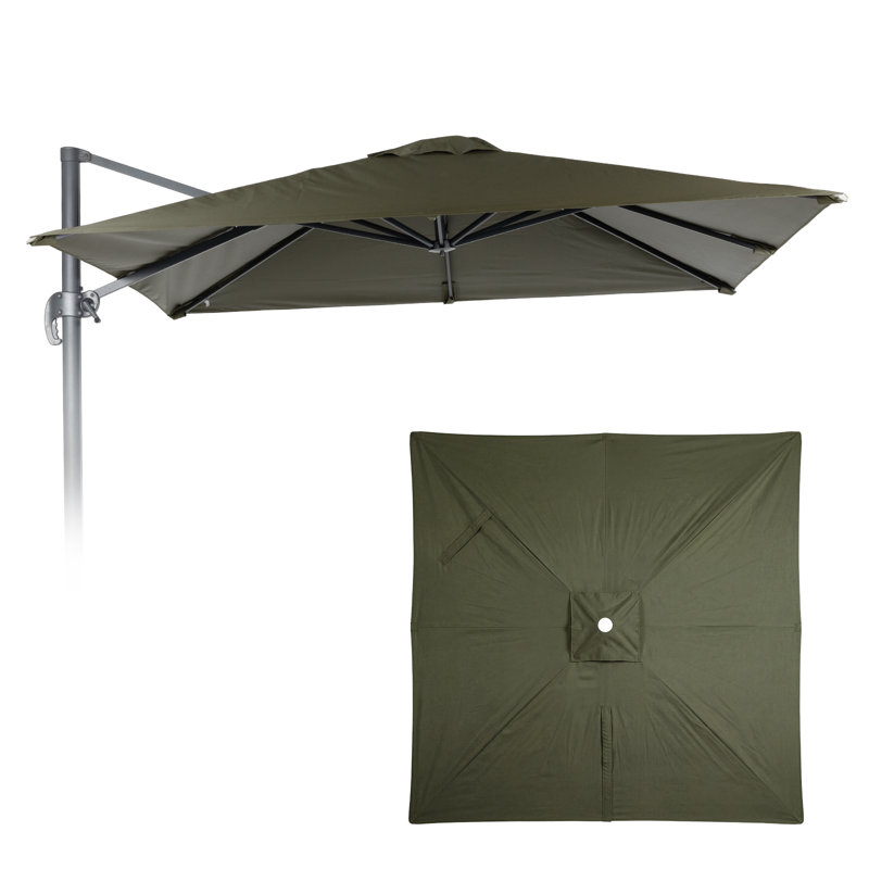 Replacement Canopy, Olive Grove