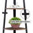 Ladder Bookcase