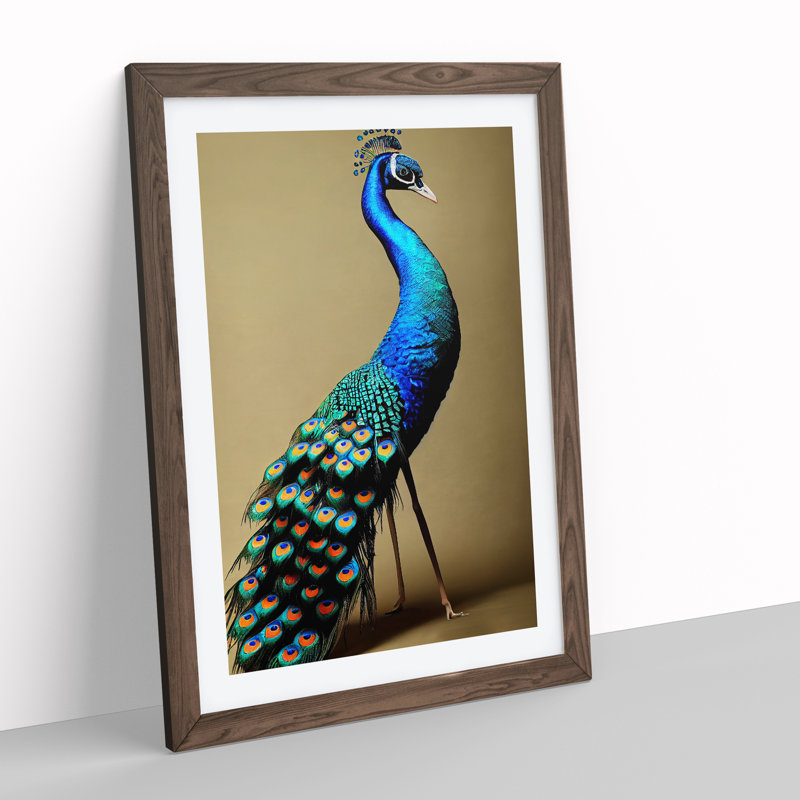Stunning Peacock - Single Picture Frame Print, 64cm H x 46cm W x 2cm D, Walnut Framed