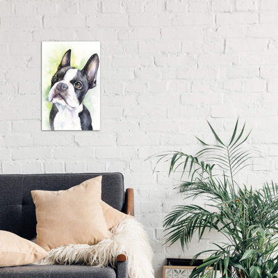 Boston Terrier Puppy - Wrapped Canvas Print
