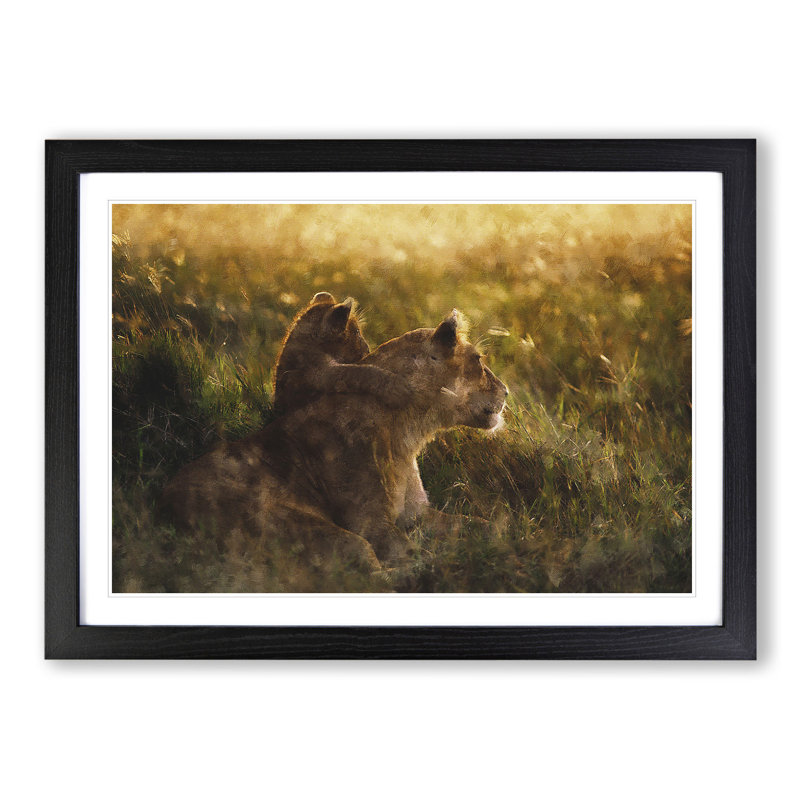 Lioness with Lion Cub - Framed Print, 36cm H x 48cm W x 2cm D, Black Framed