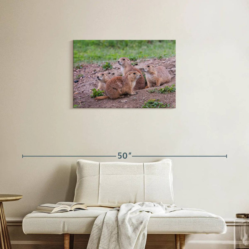 Brampt Forest Brampt Nursery, 20" H x 30" W