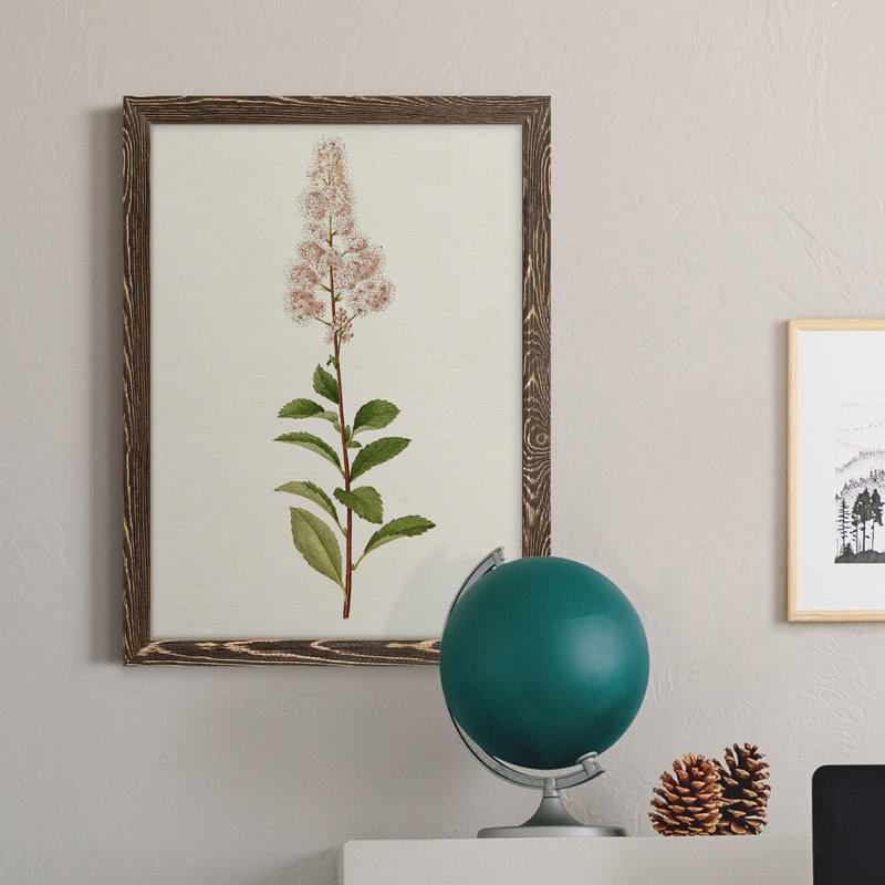 Mauve Garden Flowers II - Single Picture Frame Painting on Canvas, Walnut Framed, 17" H x 20" W x 1" D