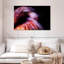 Flamant rose dégradé Brampt-108871993