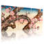 Ensemble de 3 impressions sur toile Cherry Blossom Branches Sunset Sky Reflection-352820694