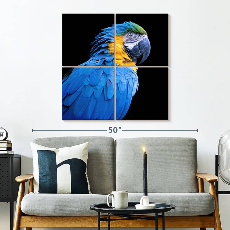 Ara bleu néotropical Brampt, H 32 po x l 32 po