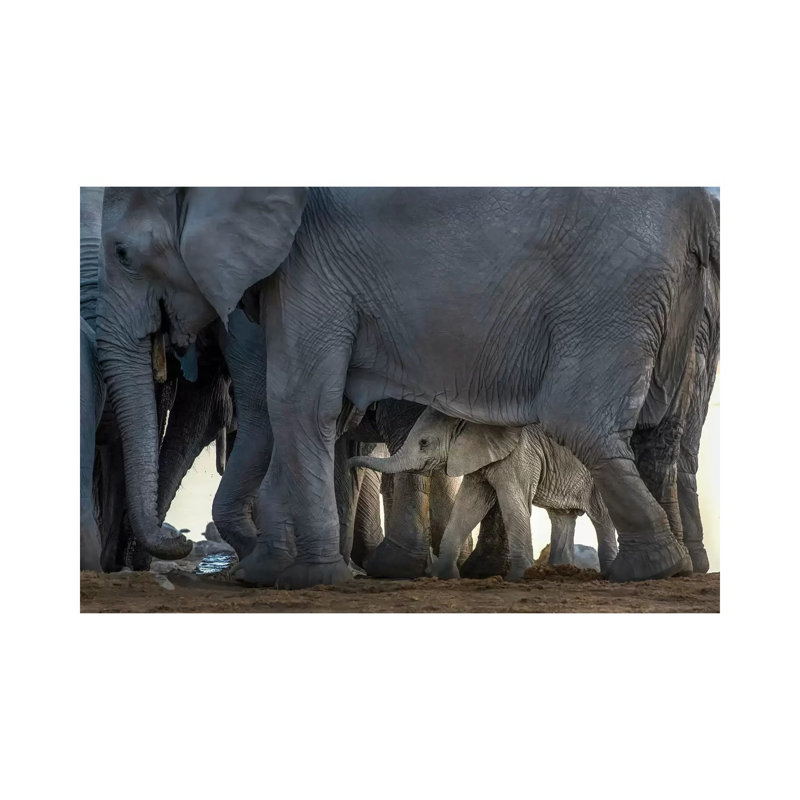 Escort by Raymond Ren Rong - Print on Canvas, Wrapped Canvas, 45.72cm H x 66.04cm W x 3.81cm D