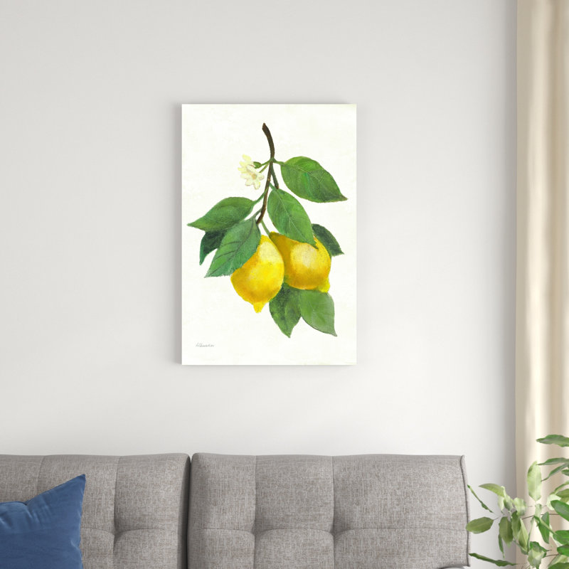 Citron II, H 30 po x l 20 po