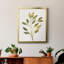 Toile encadrée simple Premium Twig II - prête à être accrochée-434656427-434656426