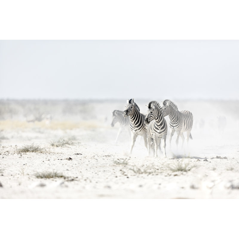 Zebra by 2630ben - Wrapped Canvas Print, 30cm H x 46cm W