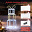 Christmas Entertainment Decorative Accent