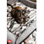 Lit pour chien camouflage par P.L.A.Y.-7511523-7511527
